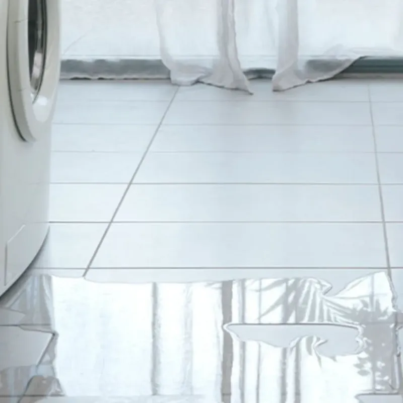 Appliance Leak Cleanup in Fort Atkinson, WI